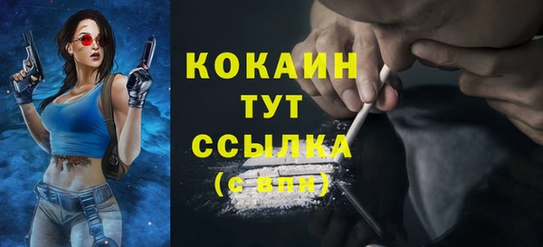 mdpv Гусев