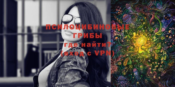 mdpv Гусев