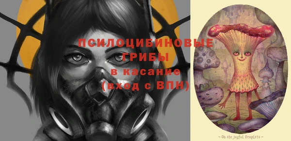 винт Гусь-Хрустальный