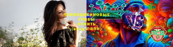 бутират Гусиноозёрск