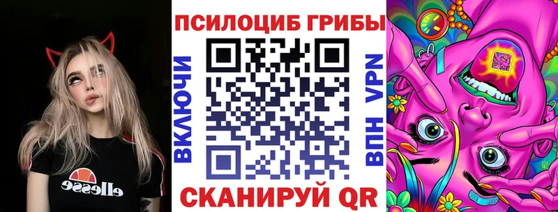 Купить где Ростов Псилоцибиновые грибы Magic Shrooms